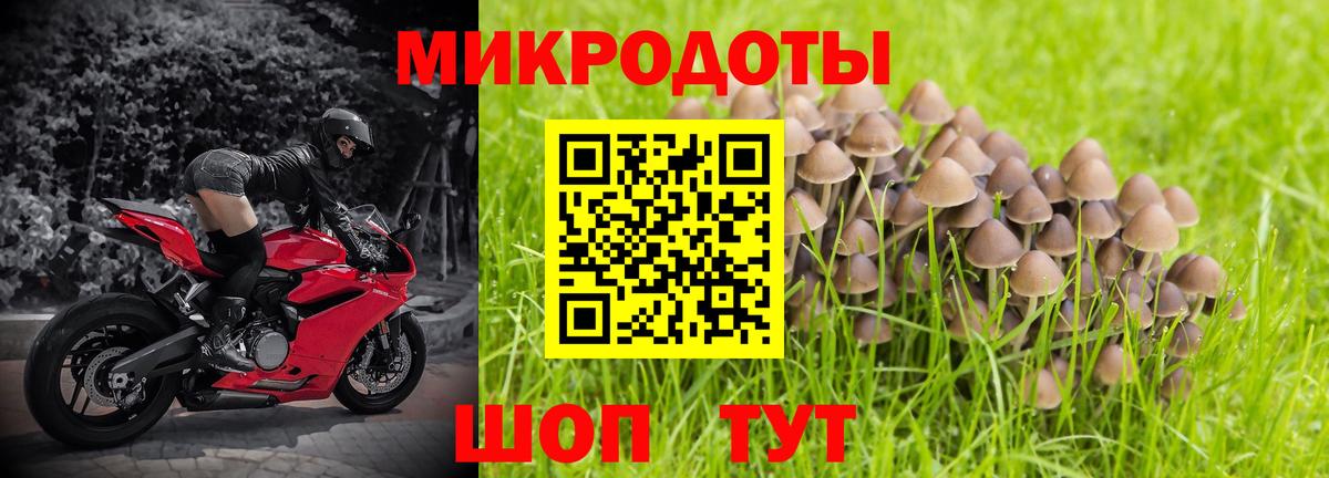 Галлюциногенные грибы ЛСД  Вход с VPN  Россия 