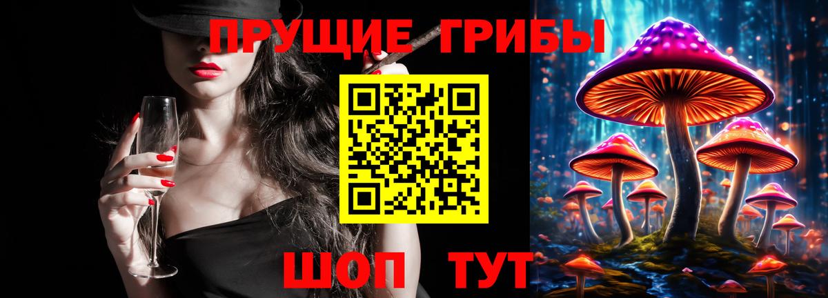 Галлюциногенные грибы Cubensis Россия